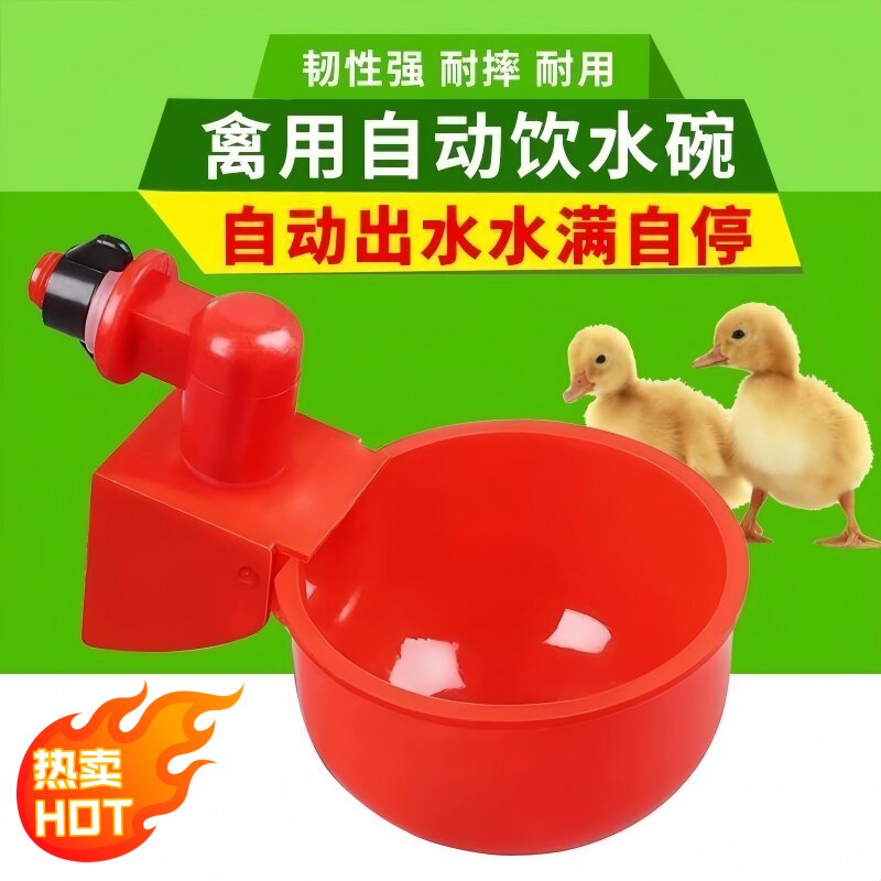 鸡鸭鸽子饮水碗鸡子喂鸡水桶鹌鹑饮水器自动喂水器喂鸡自动饮水器