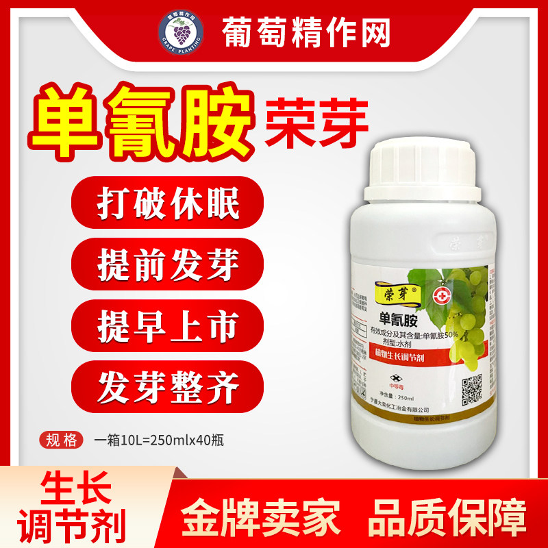 单氰胺破眠剂全解析:荣芽的作用机理、单氰胺使用方法与葡萄樱桃催芽实战要点