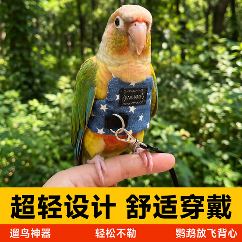 鹦鹉放飞绳背带式外出专用遛鸟