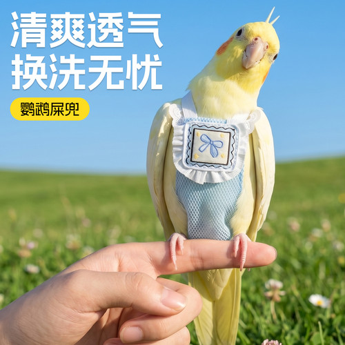 鹦鹉屎兜小鸟尿不湿牡丹纸尿裤虎皮玄凤拉屎神器小太阳透气尿便兜