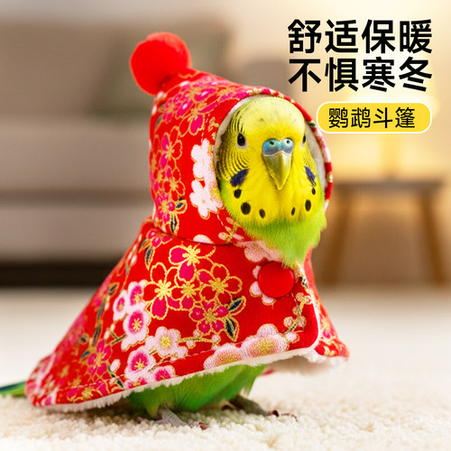 鹦鹉斗篷小鸟披风新年衣服过冬