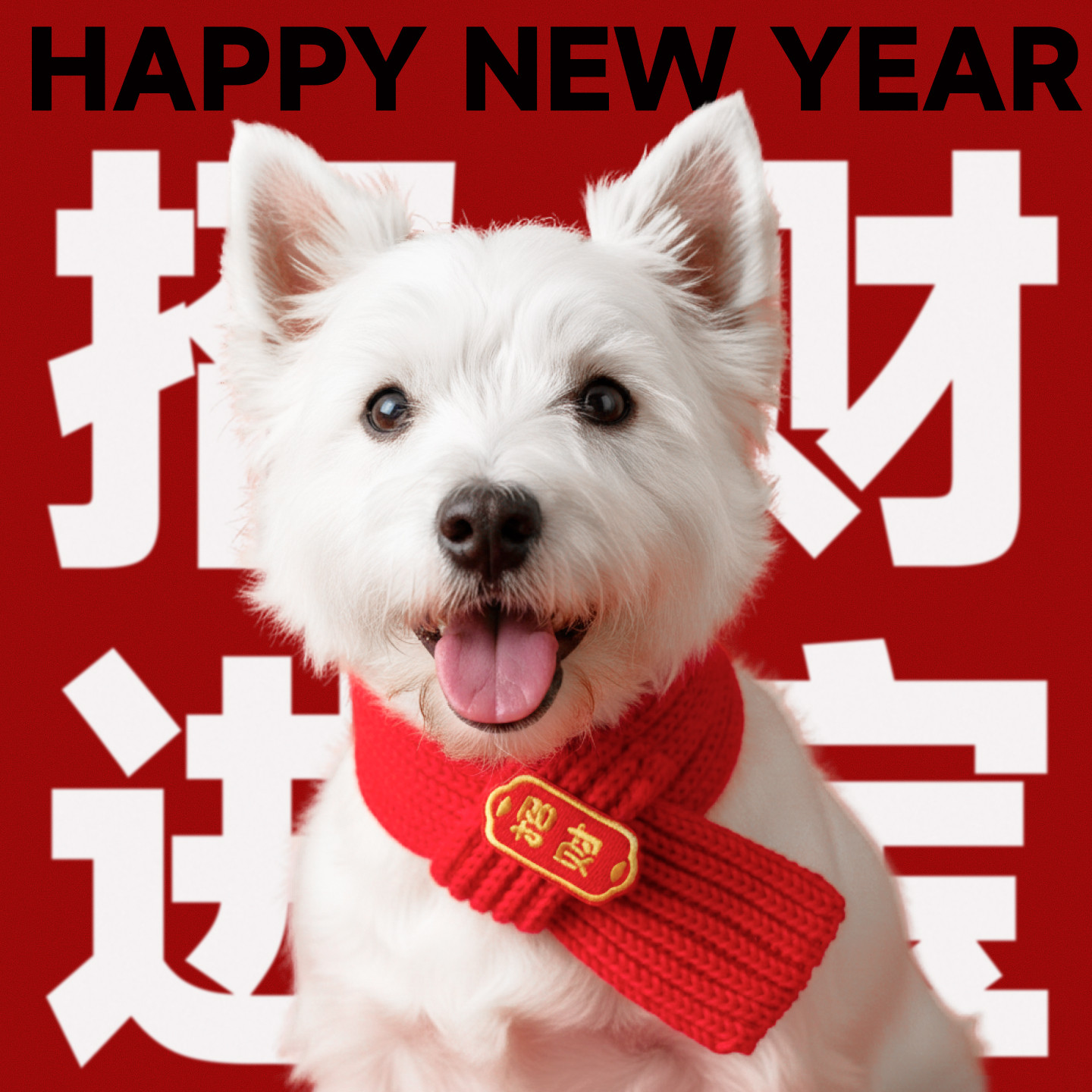 狗狗围脖围巾宠物围兜口水巾猫咪小狗配饰西高地过年装饰品小型犬,宠物/宠物食品及用品,围巾/口水巾,淘宝优惠券,粉丝福利购,淘宝优惠卷