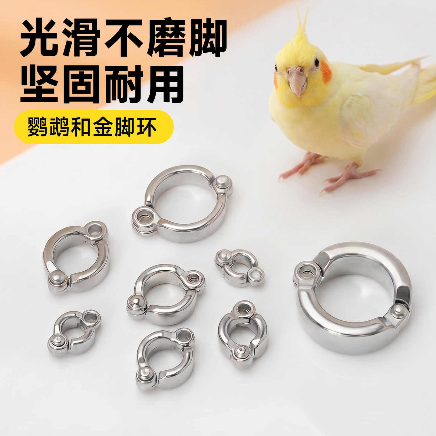 鹦鹉脚环活扣超轻不伤脚小鸟牵引绳小太阳玄凤牡丹专用放飞遛鸟绳