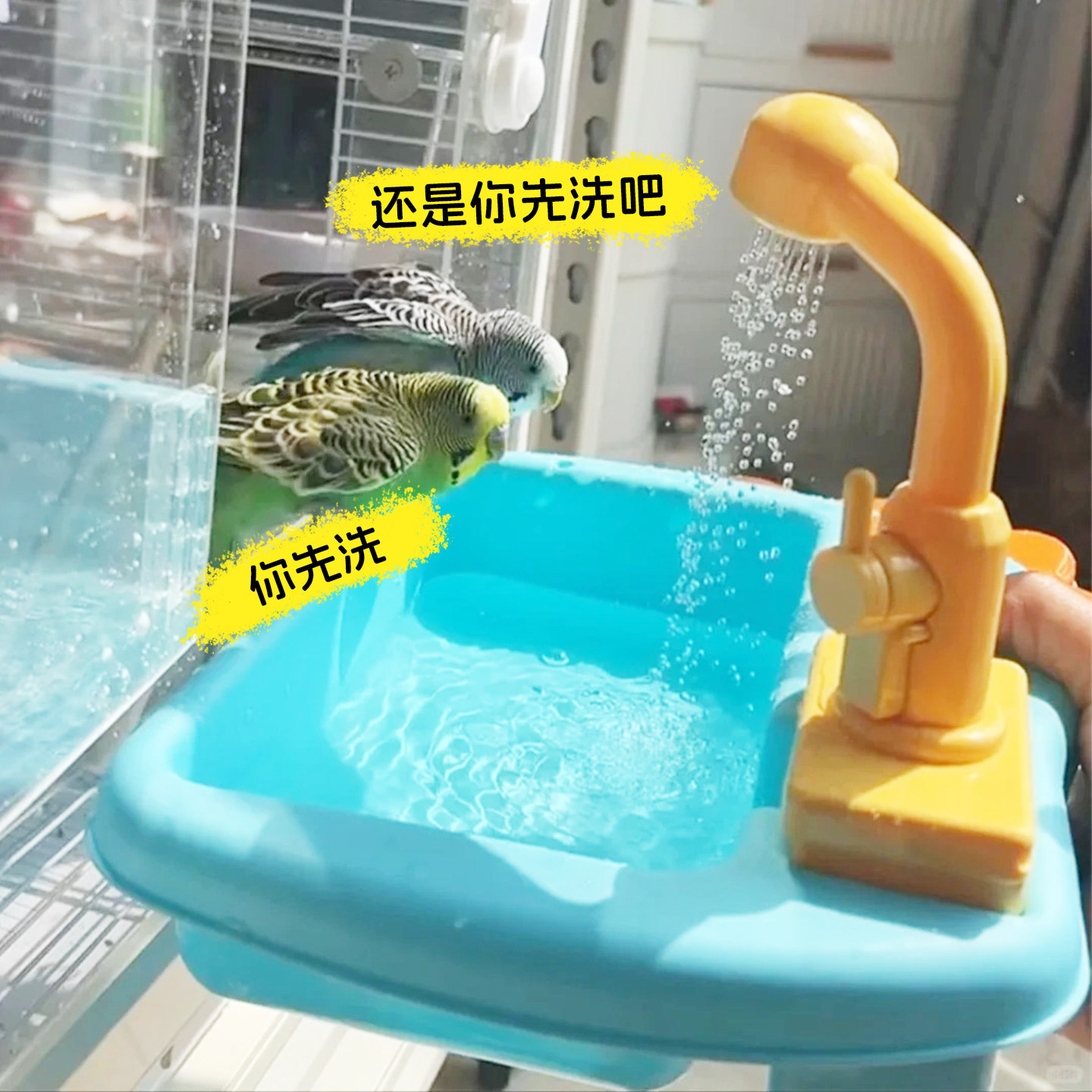 鹦鹉洗澡神器自动循环小太阳玄凤淋浴小鸟虎皮专用外置大号洗澡盆