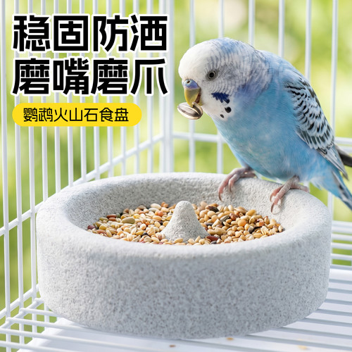 鹦鹉食盒磨爪磨牙食水两用