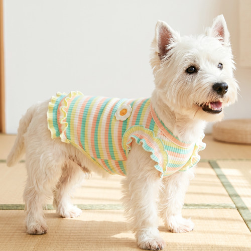 狗狗衣服薄款防掉毛背心宠物比熊柯基中小型犬猫咪衣服夏季透气
