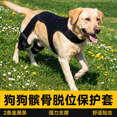 狗狗髌骨脱位固定带护膝关节护具