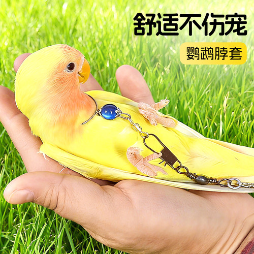 鹦鹉脖套脖圈玄凤牵引绳鸟用牡丹脖链小太阳专用放飞绳超轻配件