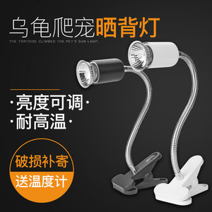 乌龟晒背灯太阳灯三合一杀菌补钙龟缸灯照明爬宠温控器uvb加热灯