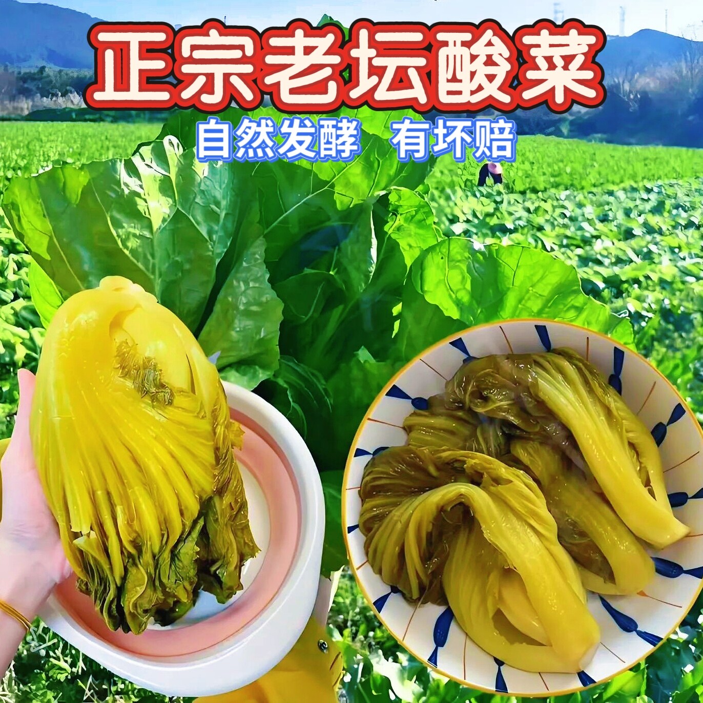 广西农家酸菜老坛腌制酸芥菜 开胃下饭菜无添加家常开胃腌菜包邮