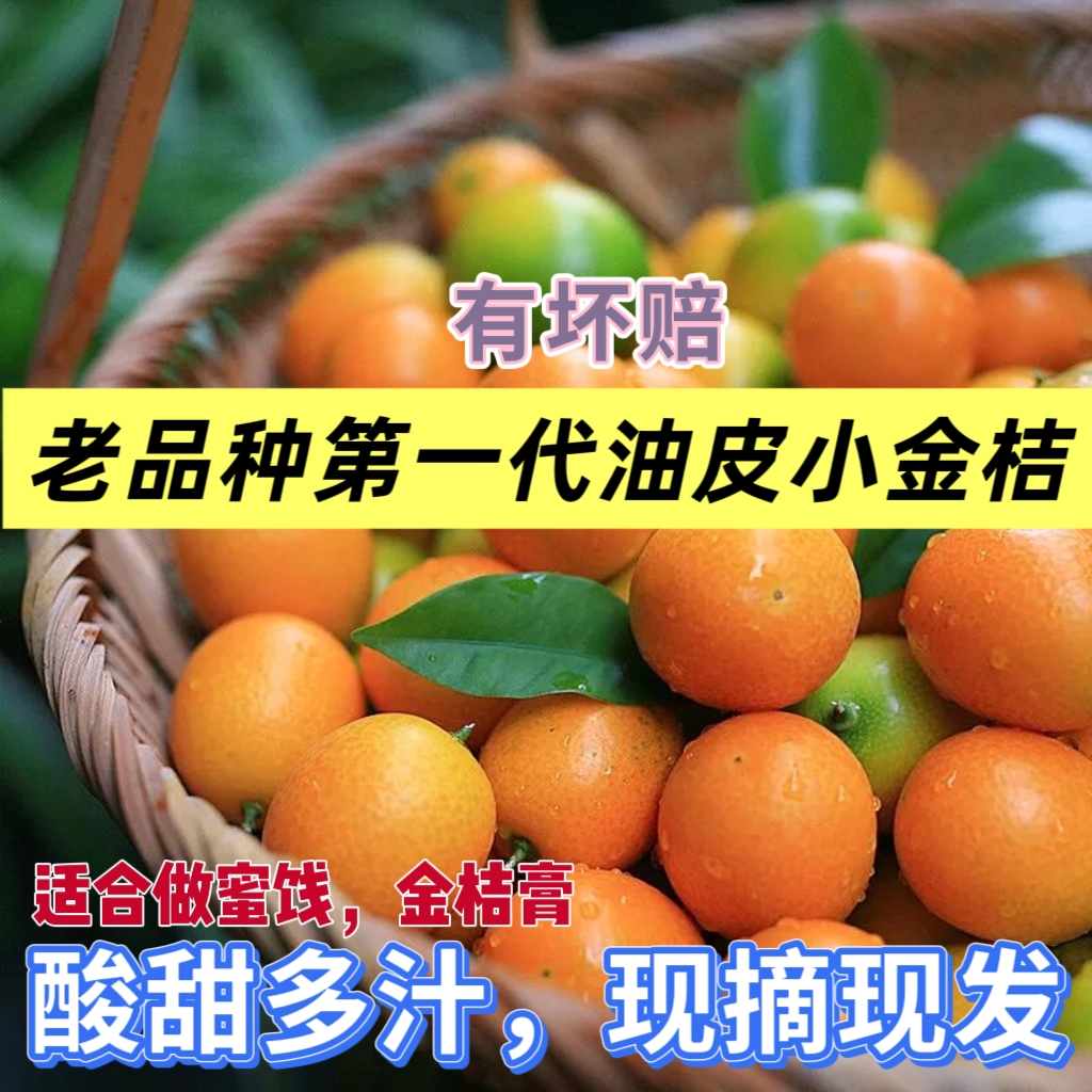 正宗融安黄皮小金桔油皮麻皮酸甜多汁第一代广西金桔现摘新鲜水果