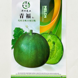 青福甜瓜种子薄皮超甜四季水果脆甜香瓜籽早熟甜掉牙甜瓜绿宝甜瓜