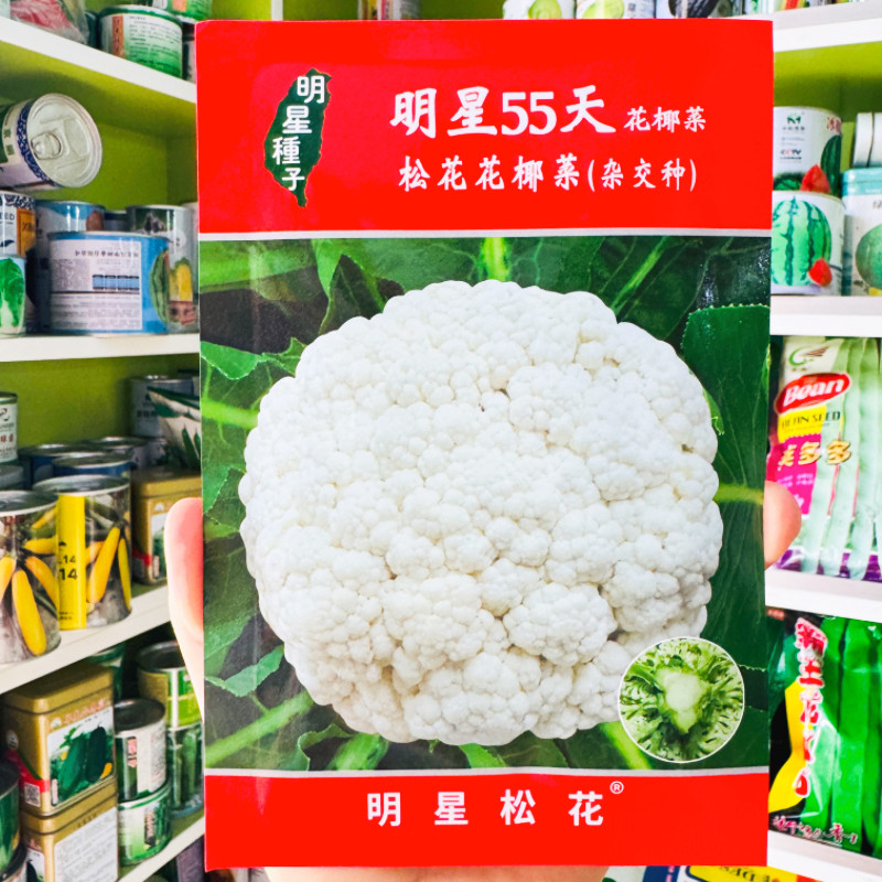 正品明星55天花椰菜种子进口青梗松花菜有机花菜种籽花菜蔬菜种子
