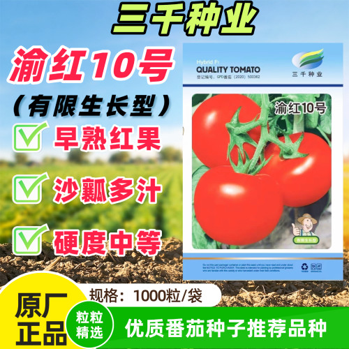 渝红10号番茄种子早熟无限生长型沙瓤多汁硬果西红柿种籽蔬菜种孑