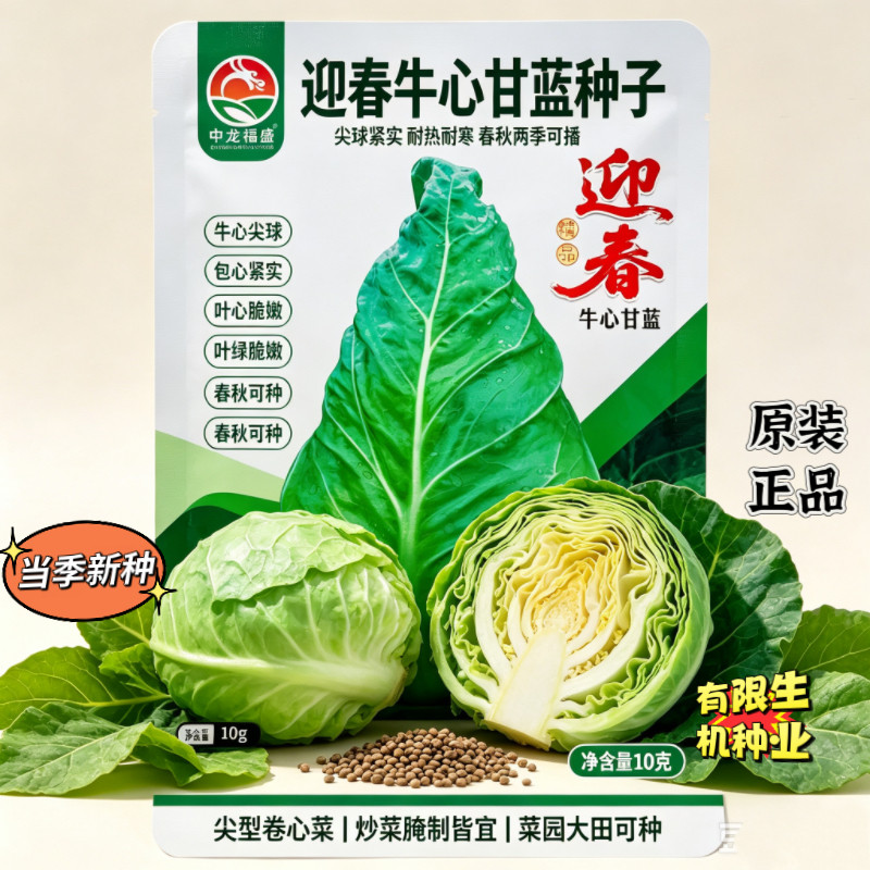 迎春牛心甘蓝种籽 尖型包心紧实 春秋两季种植大田菜园蔬菜种子孑