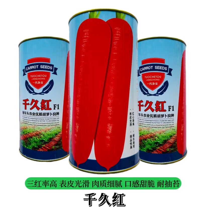 拖车头千久红胡萝卜种子产量高三系杂交大田基地专用胡萝卜种正品