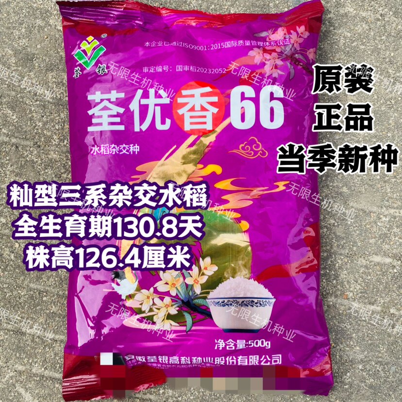 国审稻荃优香66籼型三系杂交水稻品种一季中稻种籽孑优质高产抗病