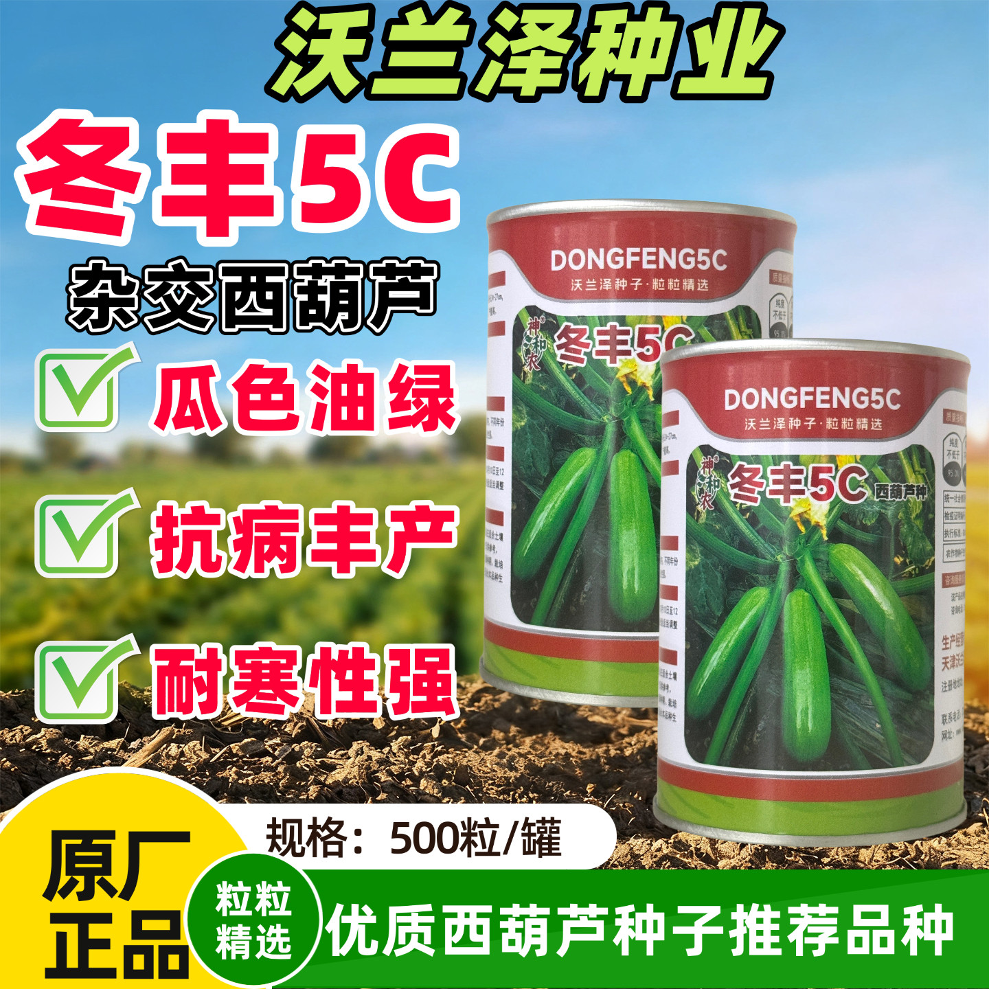 冬丰5C西葫芦种子罐装耐寒早熟油亮绿长西葫芦秋冬大棚蔬菜种籽
