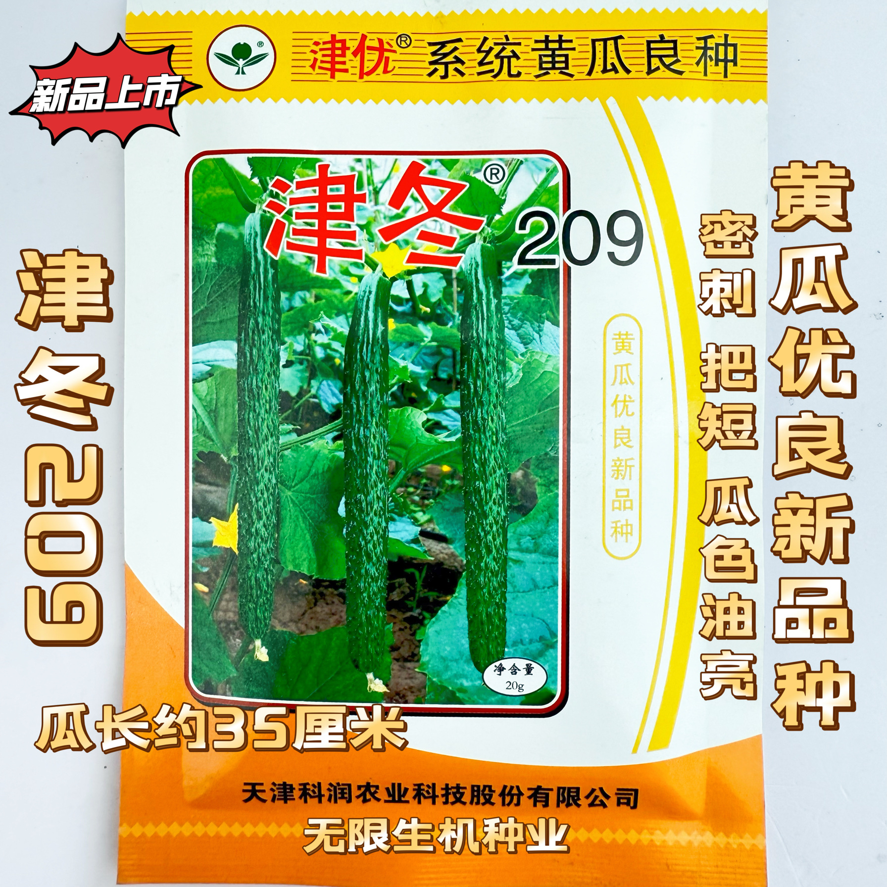 津冬209黄瓜种子耐低温弱光强雌油亮黄瓜种籽大棚拱棚冬春保护地