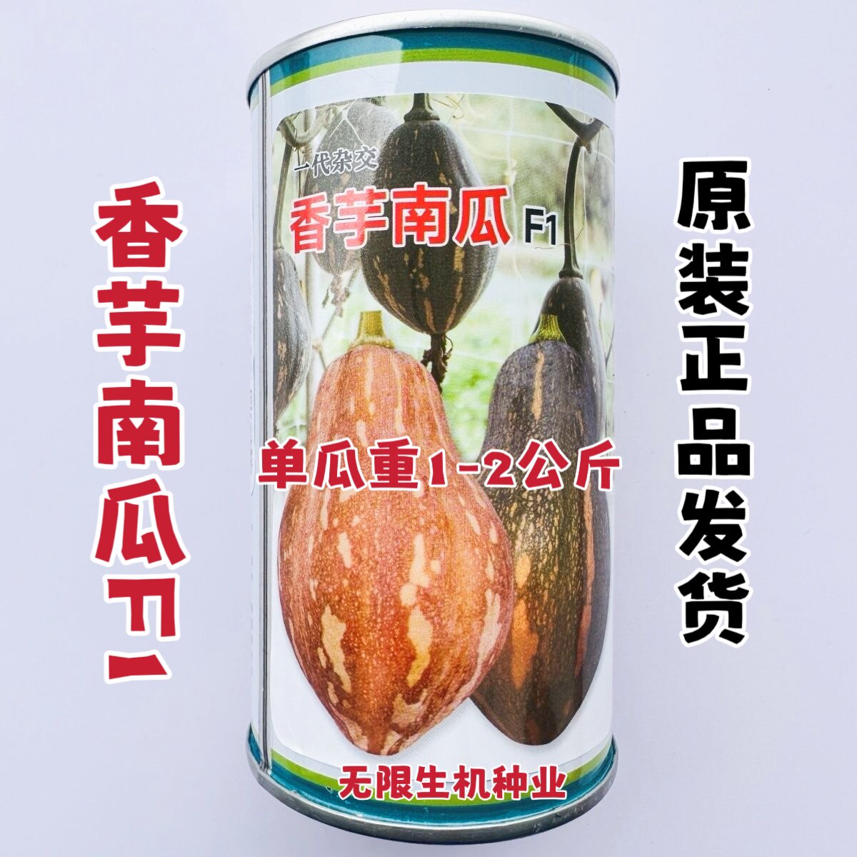 一代杂交香芋南瓜种子味甜肉厚有香芋味南瓜种籽软糯香甜基地正品