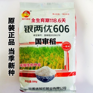 银两优606杂交水稻种子国审稻谷种早熟双季晚稻一级米原装麦茬稻