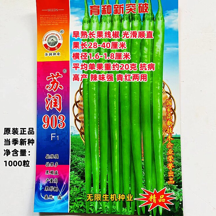 苏润903线椒种子早熟翠绿色长薄皮辣椒种籽抗病高产辣味浓基地播