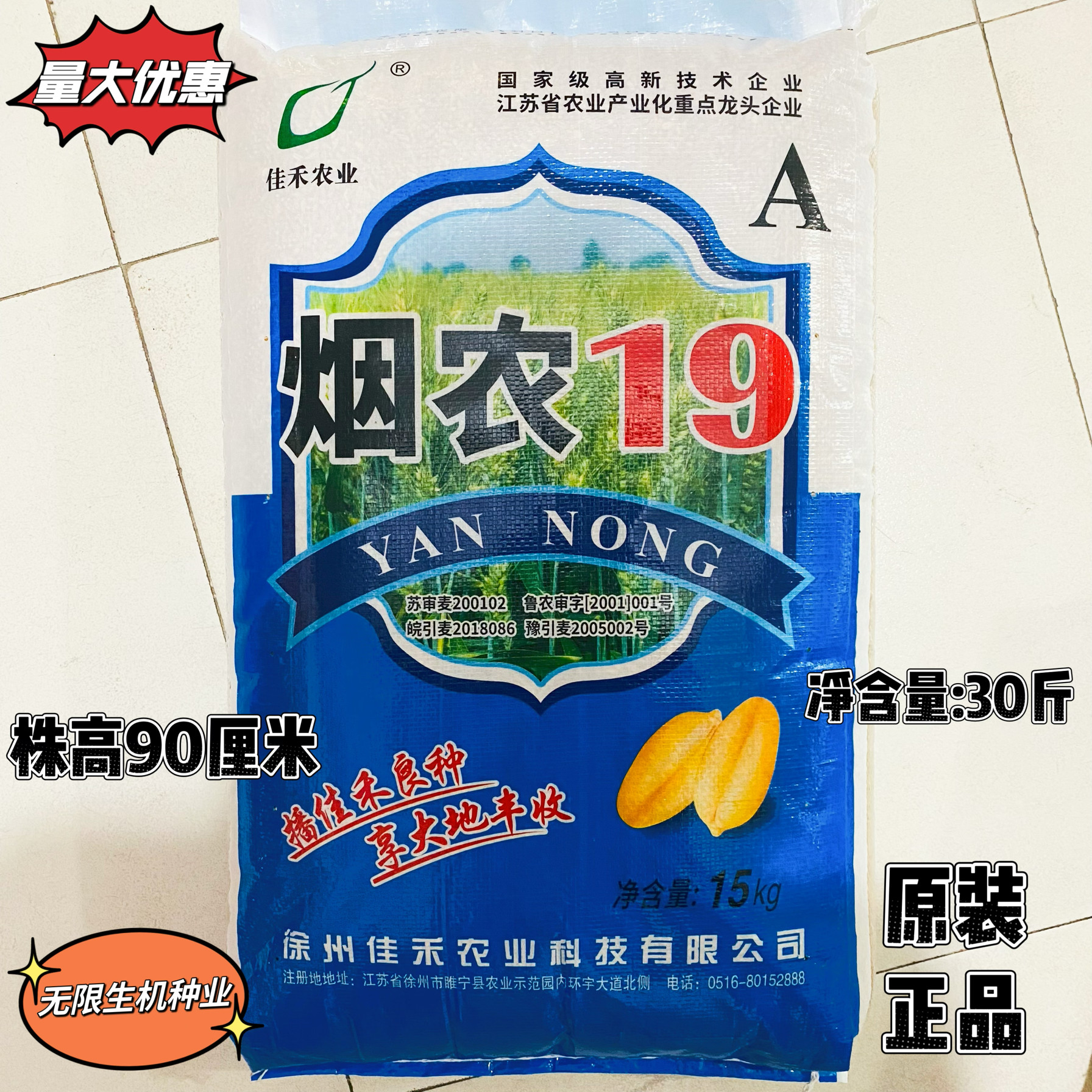 烟农19小麦种子优质穗大高产原装正品矮杆抗倒伏性强抗病小麦种籽