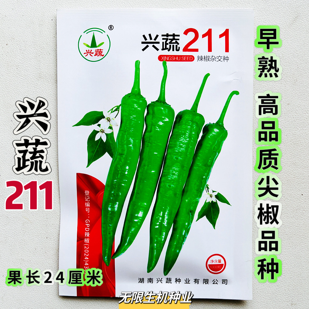 兴蔬211辣椒种子早熟高产抗病尖椒种籽翠绿色微皱皮薄香脆肉质软