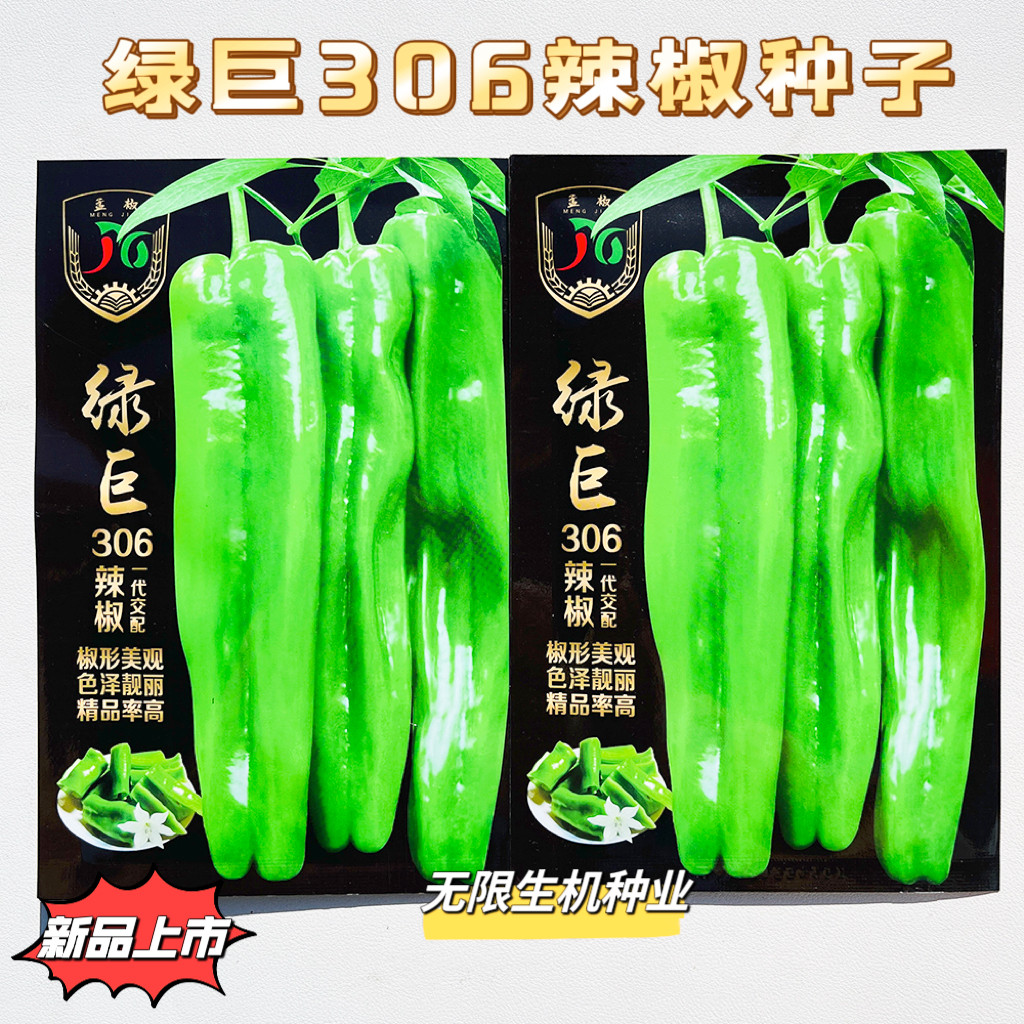 正品绿巨306辣椒种子 四季特大果灯笼椒泡椒种籽高产早熟青椒种孑