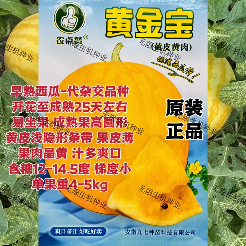 黄金宝西瓜种子籽黄金瓜黄皮黄肉西瓜品种 杂交早熟 瓤质脆沙黄瓤
