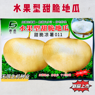 水果型甜脆地瓜种籽特早熟凉薯种子甜脆白土瓜沙葛南方四季蔬菜种