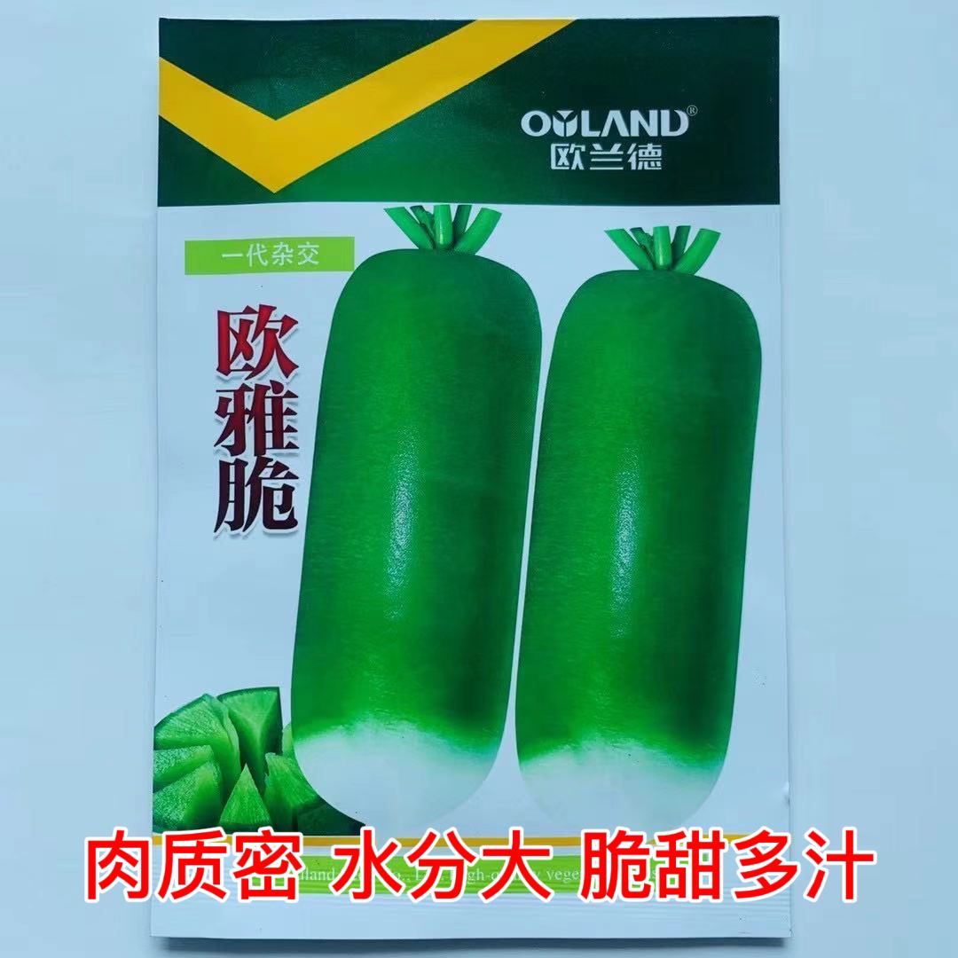 欧雅脆水果萝卜种子甜脆多汁