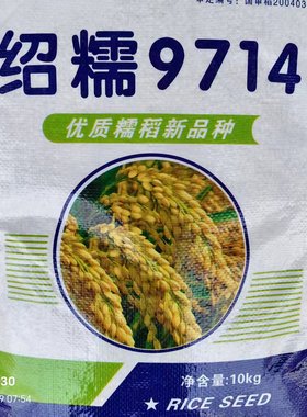 绍糯9714水稻种籽优质糯稻粘稻种常规粳稻种籽高产抗病大田精选种