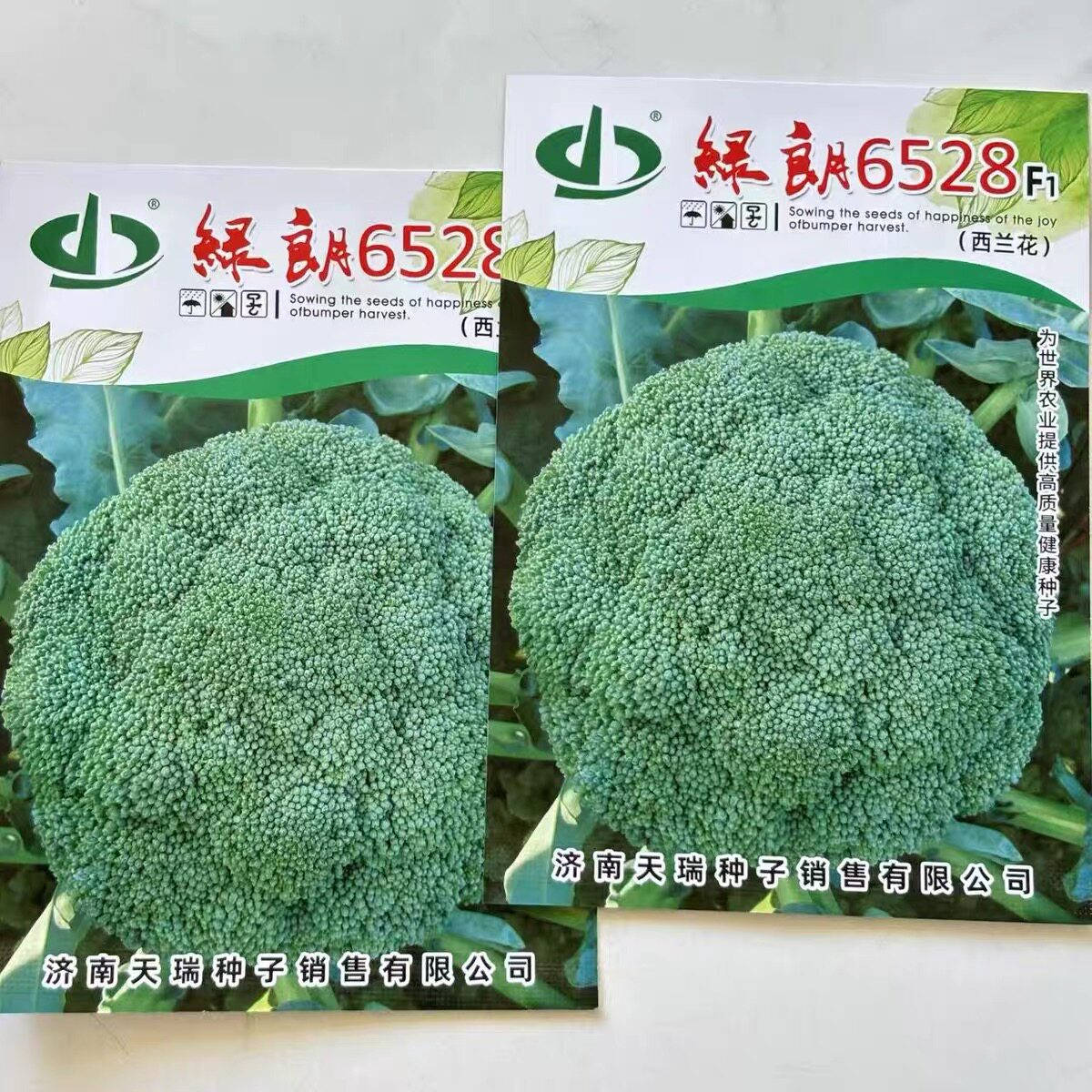 正品绿朗6528西兰花种子花青菜籽花椰菜种籽花青菜种孑花青菜种籽