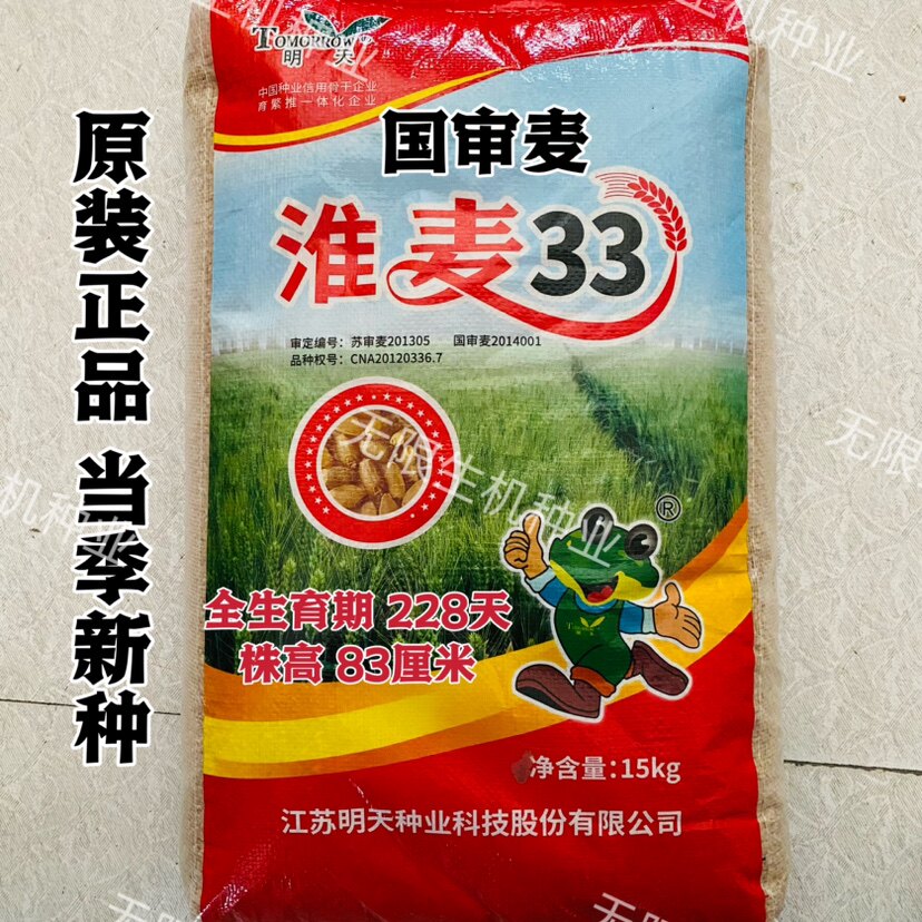 国审小麦种子淮麦33小麦种籽半冬性高产抗寒抗倒抗病大田用种正品
