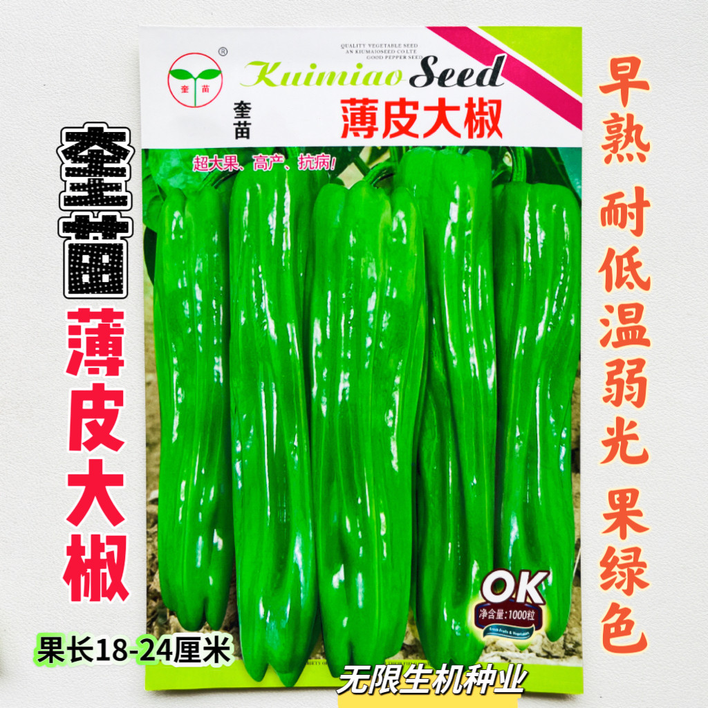 薄皮大椒种子辣椒种籽泡椒蔬菜籽早熟 耐低温弱光抗病高产果绿色
