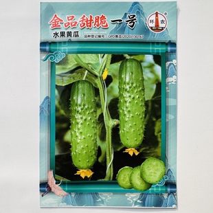 金品甜脆一号水果黄瓜种子皮薄脆嫩水果型黄瓜种籽连续结瓜能力强