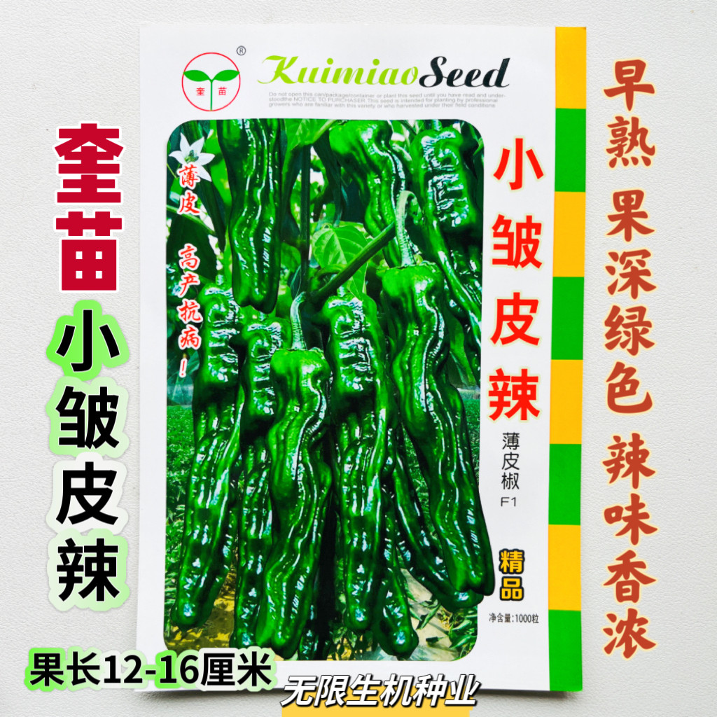 正品 小皱皮辣椒种子 香辣小皱皮辣椒种子精选高抗高产螺丝椒种子