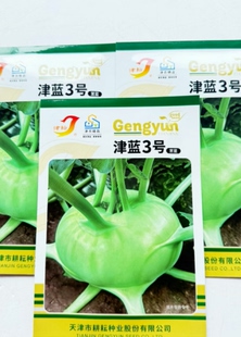 津蓝3号水果绿苤蓝种子春秋播球茎甘蓝种籽菜园农家蔬菜种籽正品