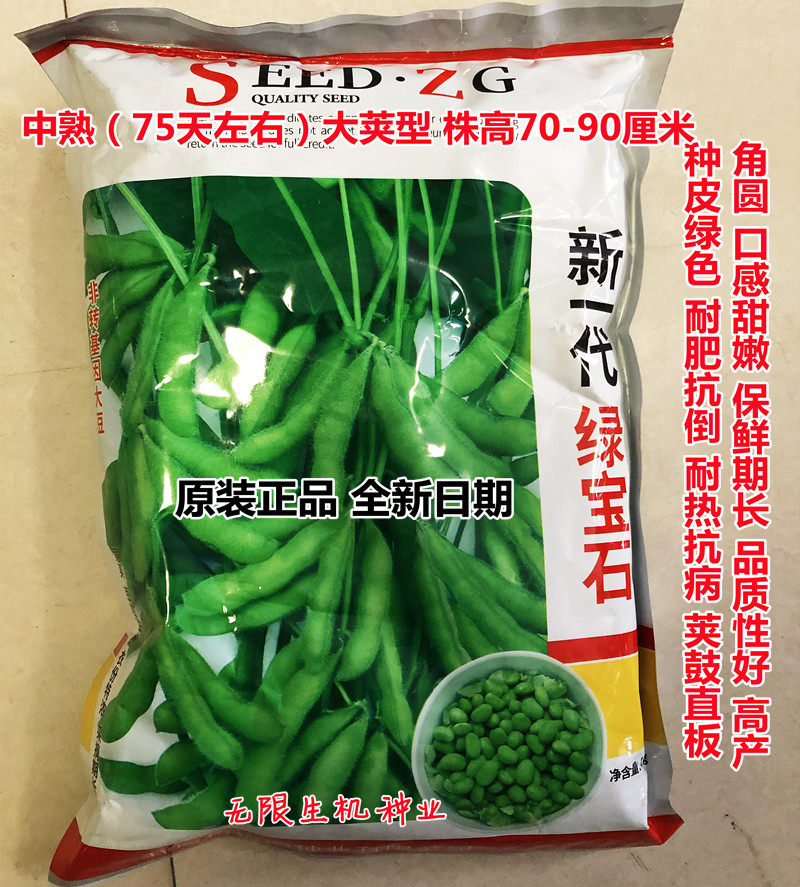 大荚菜毛豆种子新一代绿宝石青豆种籽早熟青毛豆籽春季夏季秋季播