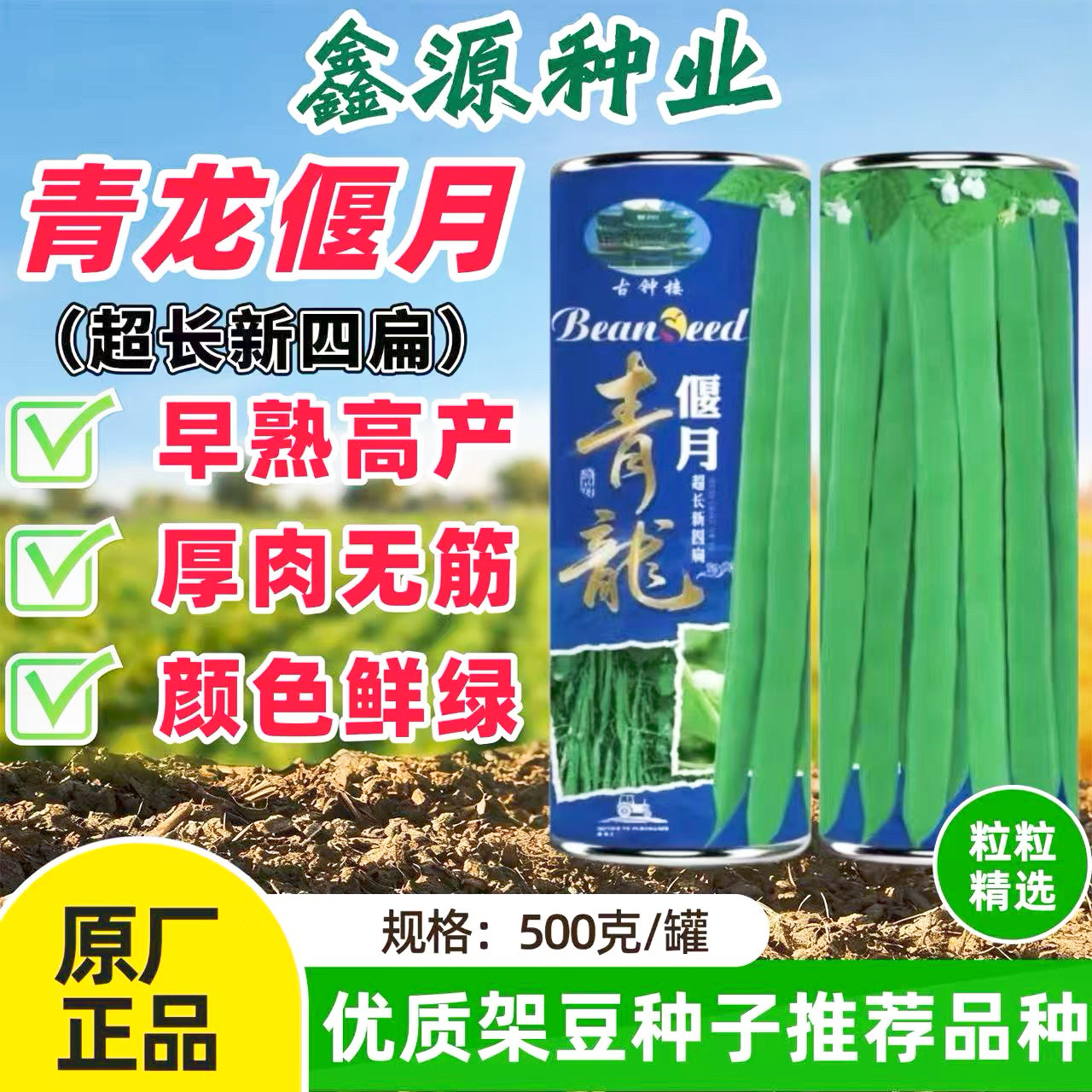 青龙偃月金豆长豆角种子新四扁豆早熟高产抗病无筋架豆春夏四季豆