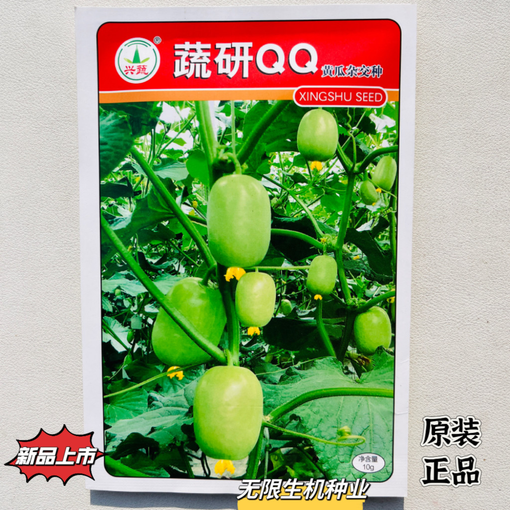 蔬研QQ玉女黄瓜种子水果小黄瓜种子大田基地用种阳台盆栽蔬菜种子