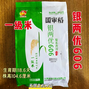 银两优606国审稻杂交水稻种子谷种早熟双季晚稻一级米皖农麦茬稻
