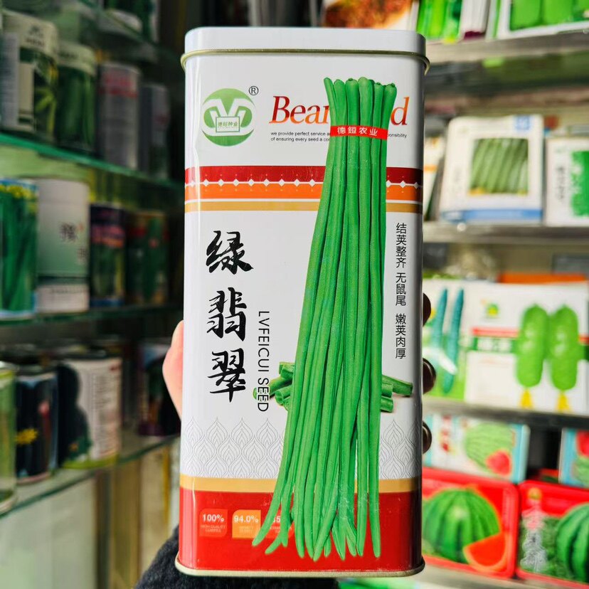 绿翡翠豇豆种子春夏秋播高产抗病南方北方农家菜园大田长豆角种籽