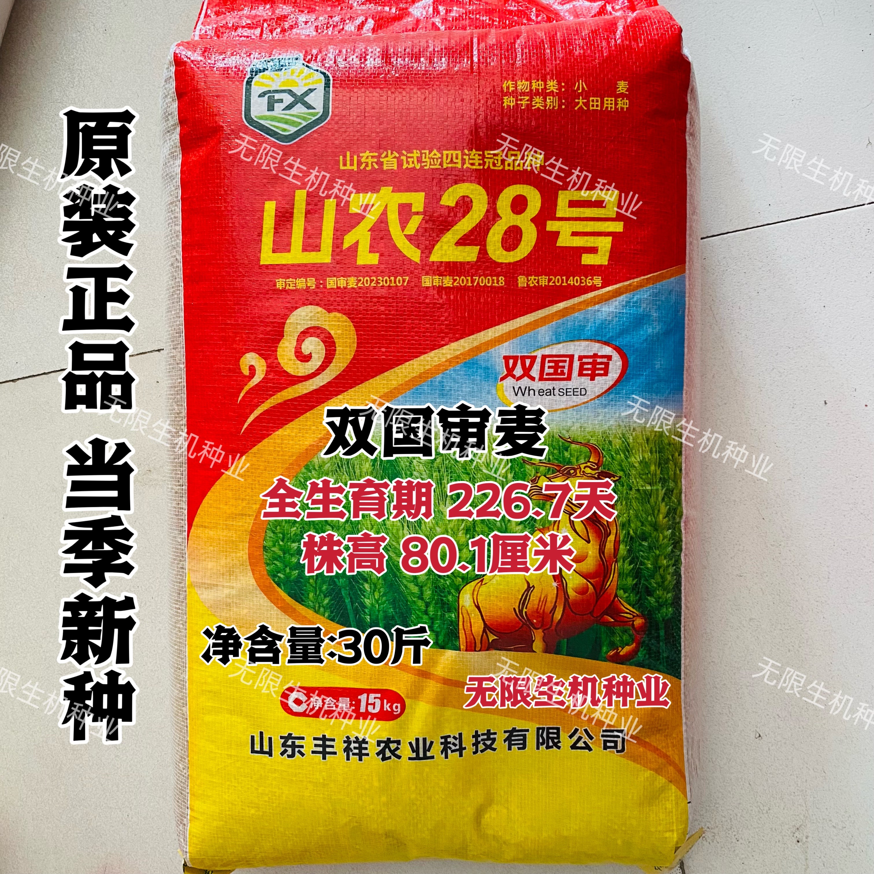 《山农28小麦种子国审原种大穗高产矮杆抗病抗倒抗冻小麦品种正品