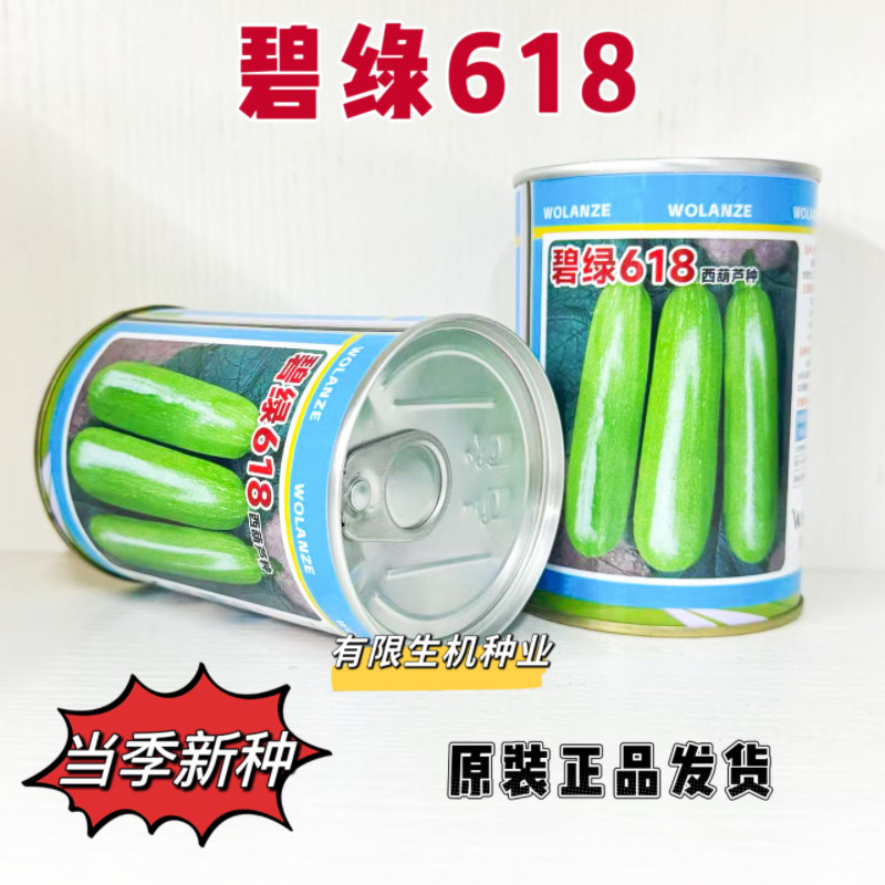 正品碧绿618西葫芦种子早熟高产耐热耐寒西葫芦种籽基地大田专用