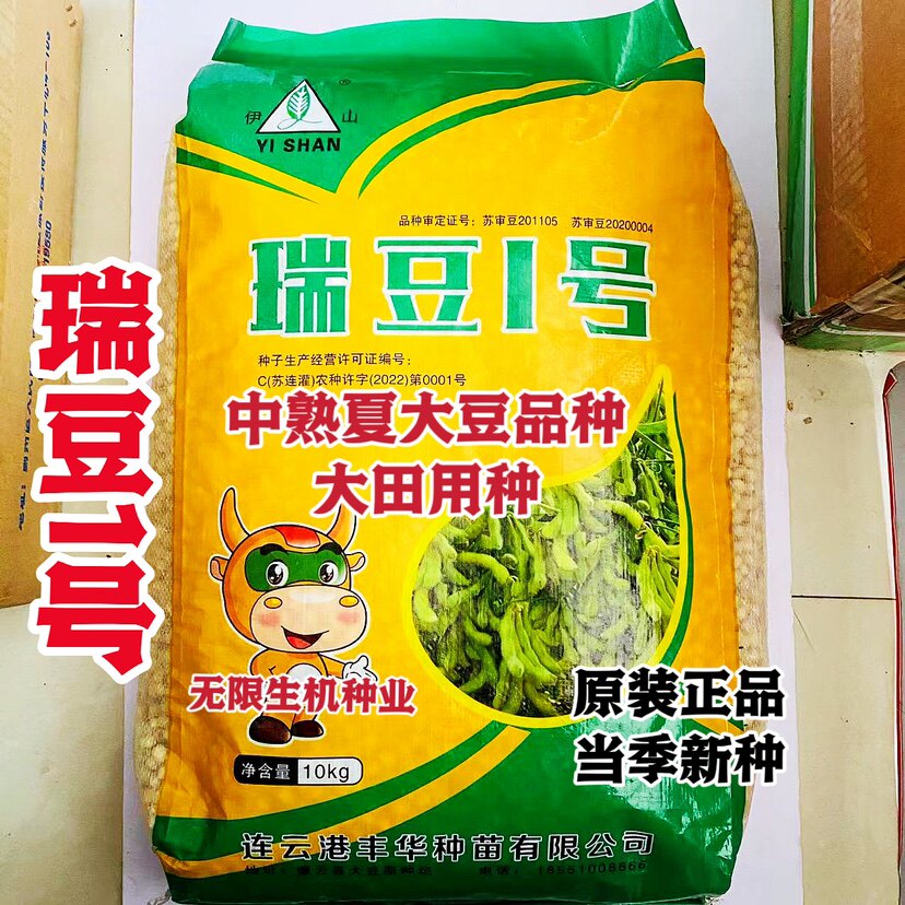 大豆种子瑞豆一号黄豆种籽高产抗病审定大豆种孑农家大田夏播大豆