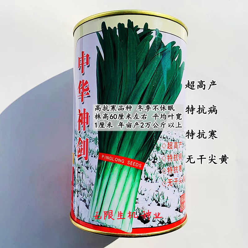 中华神剑韭菜种子抗寒冬季不休眠久菜种籽高产抗病春四季播多年生