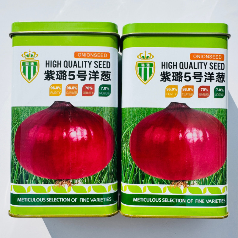 紫璐5号洋葱种子紫红皮洋葱种子高产春秋播蔬菜种子农家大田基地