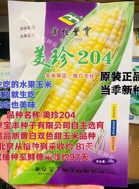 美珍204水果玉米种子双色甜玉米可以生吃的玉米种籽非转基因高产